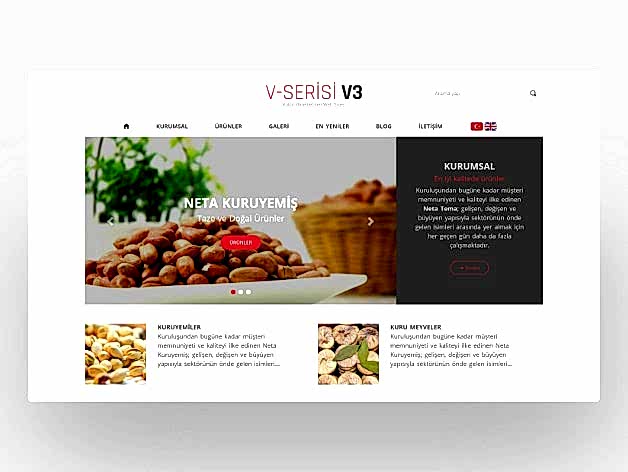 Hazır Kuruyemiş Sitesi V3