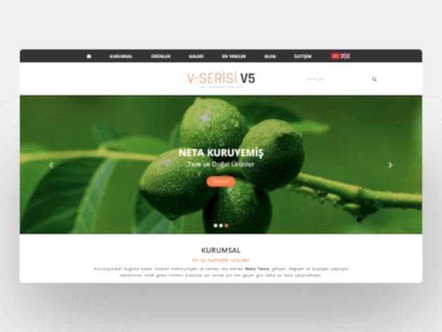 Kuruyemiş İnternet Sitesi V5
